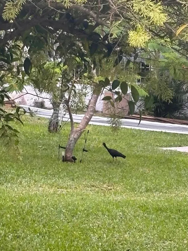 Privat bolig Pousada Residencial Marinho Florianópolis